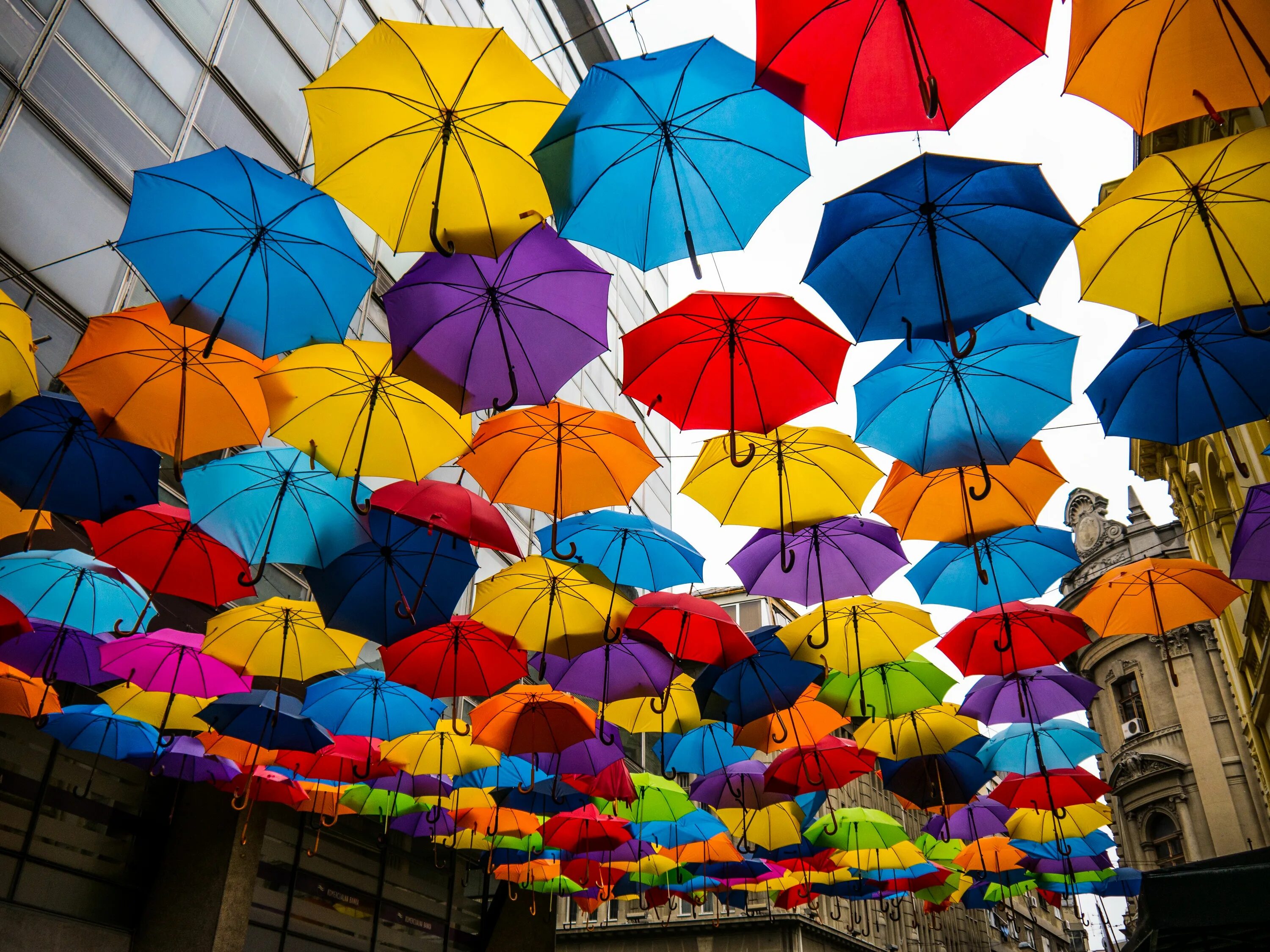 Фетхие аллея зонтиков. Разноцветные зонтики. Зонтики яркие. Яркий зонт. Яркий зонтик