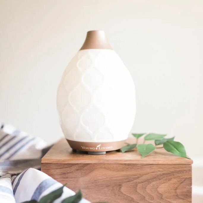 Диффузор ливинг. Диффузор desert mist diffuser. диффузор lantern young living. диффузор young living desert mist. young living диффузор aria ultrasonic.