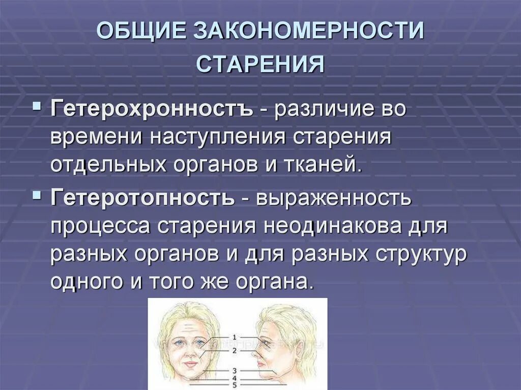 Возраста в основном связан с