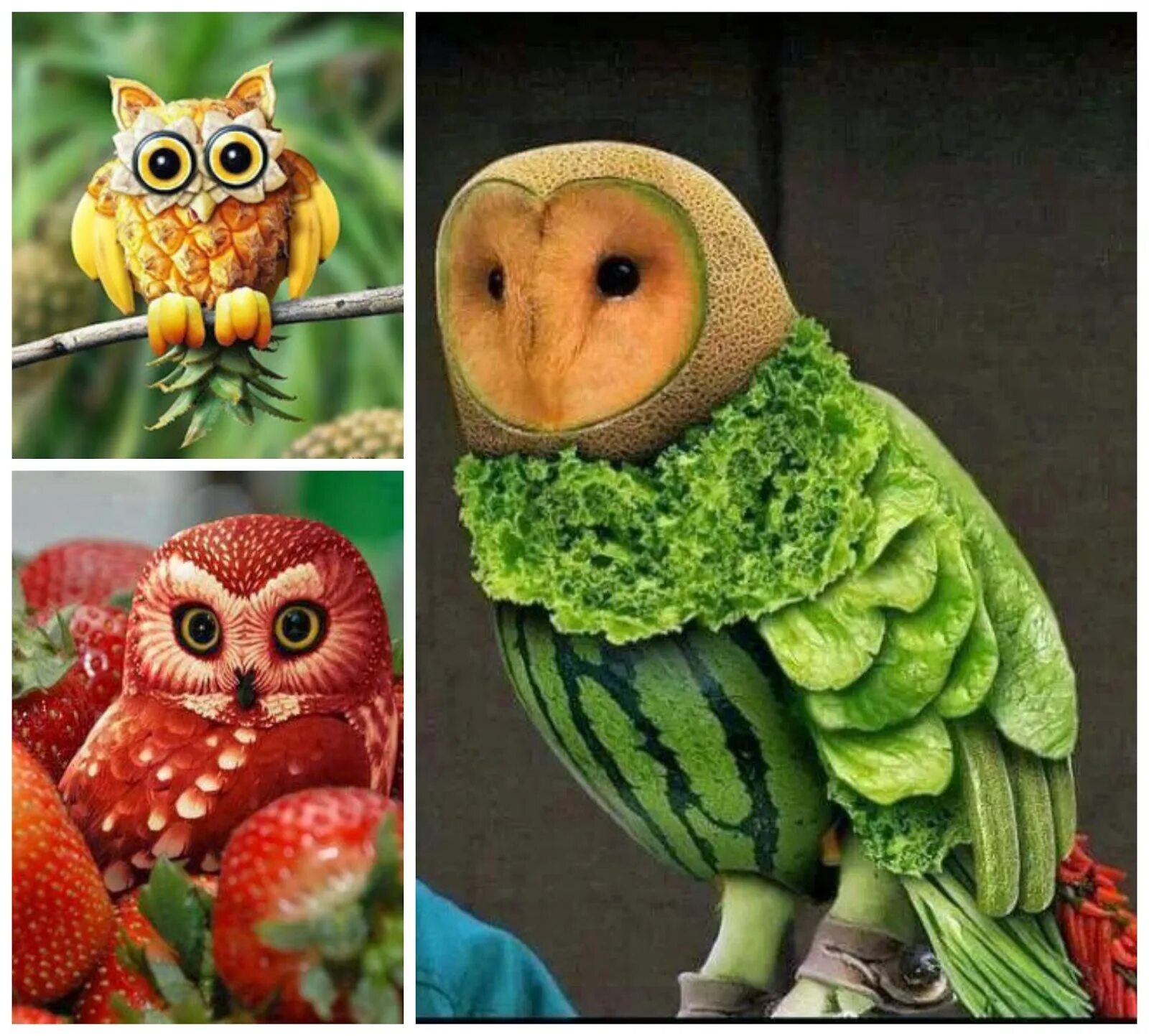 звери из еды. съедобные животные. пирожные в виде зверюшек. поделки из овощей и фруктов. поделки из овощей и фруктов.