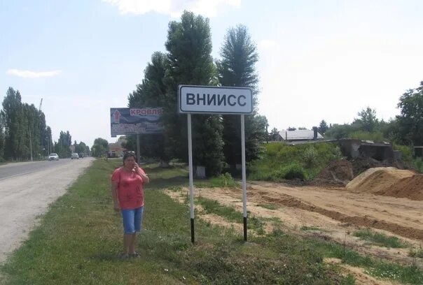 Поселок ВНИИСС Рамонь. Воронежская область поселок ВНИИСС. Воронежская обл., Рамонский р-н, поселок ВНИИСС. Рамонский район Айдаровское кладбище