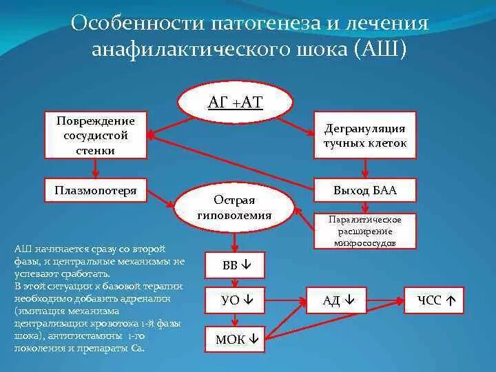 Стадии шока тест. Механизм развития анафилактического шока. Патогенез анафилактического шока схема. Патогенез развития анафилактического шока. Патогенетические механизмы анафилактического шока.