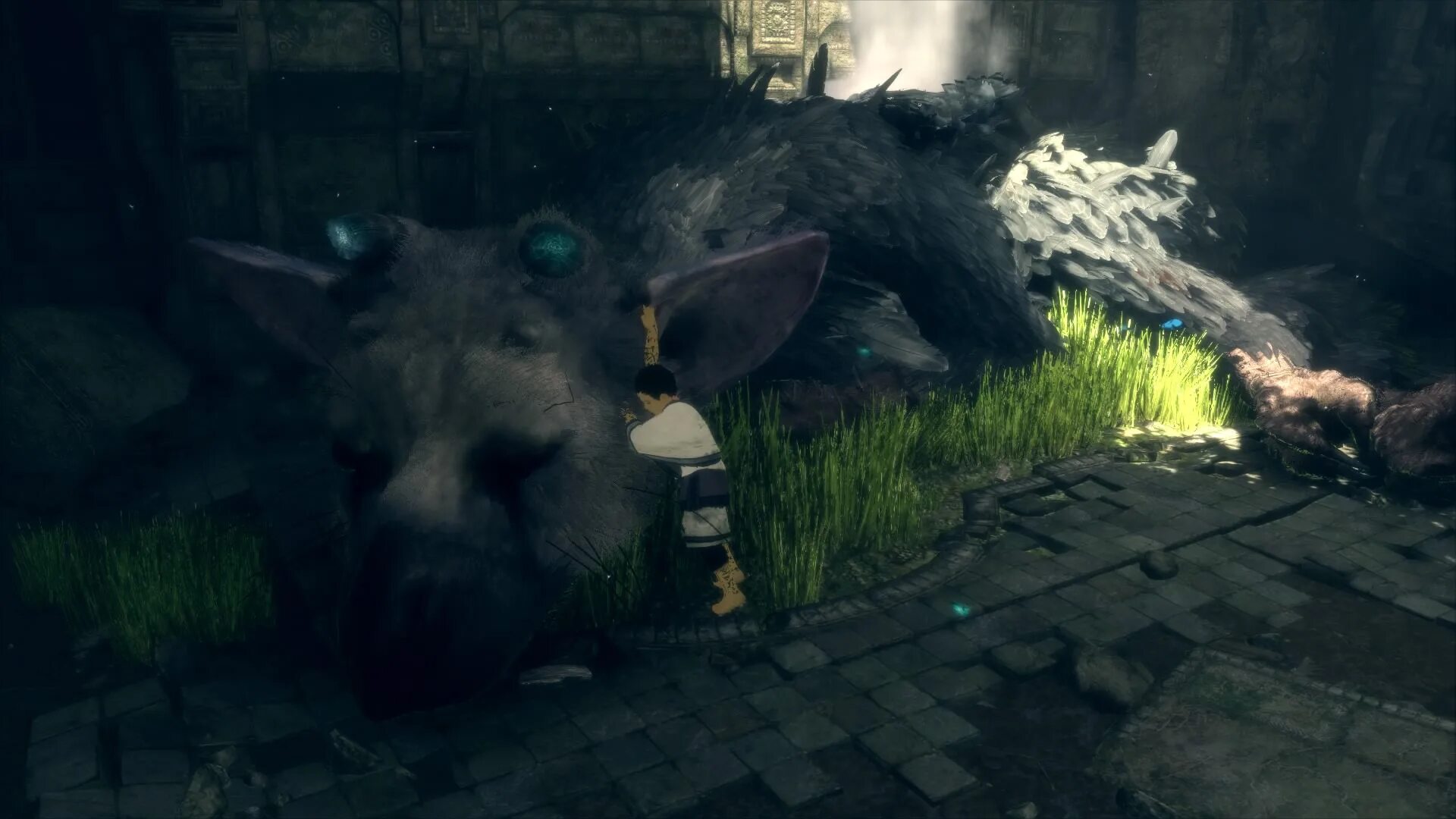Зе ласт гардиан. The last Guardian. Трику the last Guardian. Последний хранитель игра. Зе ласт Гардиан скрины.