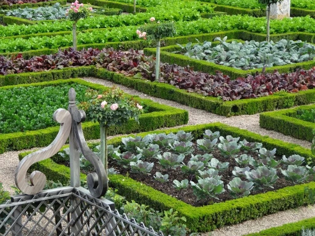 The Gardening Sage of Monticello Vegetable garden design, Farm layout, Landscape
