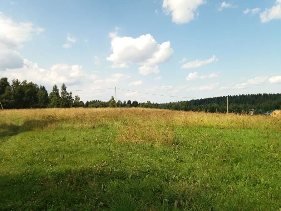 Поселок Ропша. Мыс Ропша. Деревня Ропша Ленинградская область. Ропшинская рапсодия.