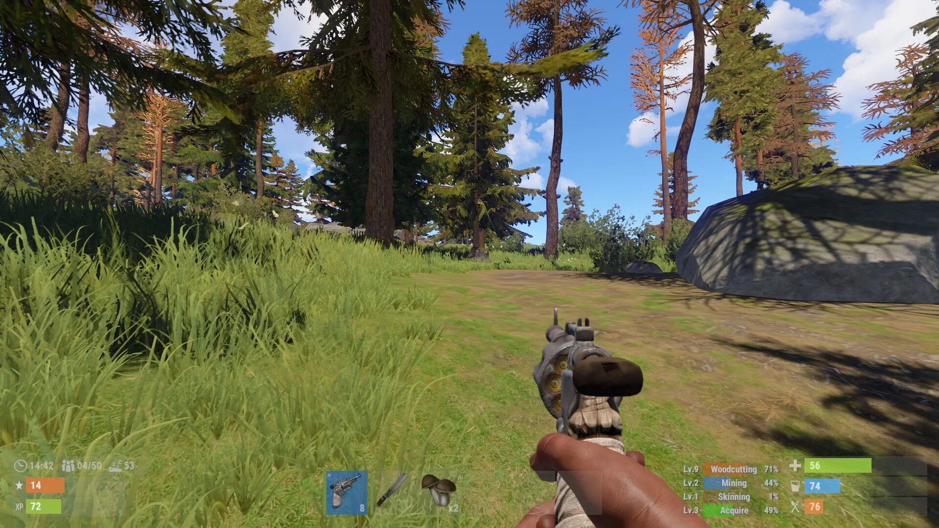 Rust simulator