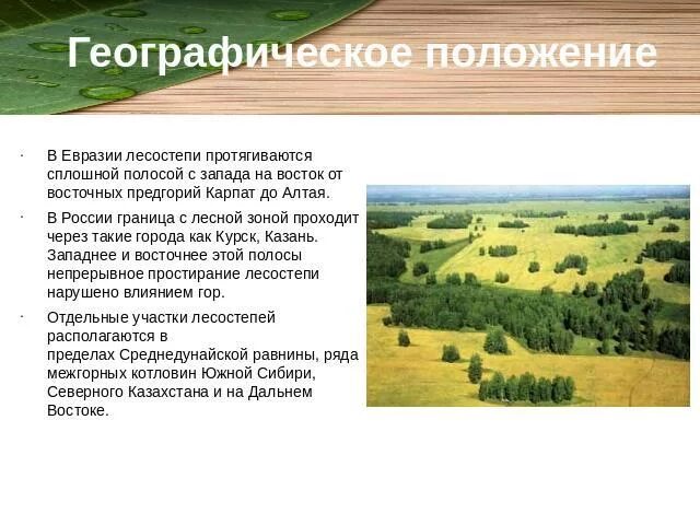 Экологические проблемы природной зоны лесостепи. Степи и лесостепи на карте Евразии. Степи и лесостепи географическое положение карта России. Зоны лесостепей и степей географическое положение. Географическое положение лесостепи и степи в Евразии.