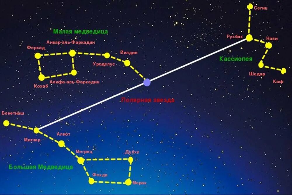 Звездное небо расположение. Созвездие Кассиопея и большая Медведица. Большая и малая Медведица Кассиопея Созвездие. Созвездие полярной звезды медведицы и Кассиопеи. Созвездие Кассиопея относительно полярной звезды.