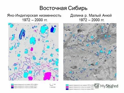 Яно индигирская низменность на карте