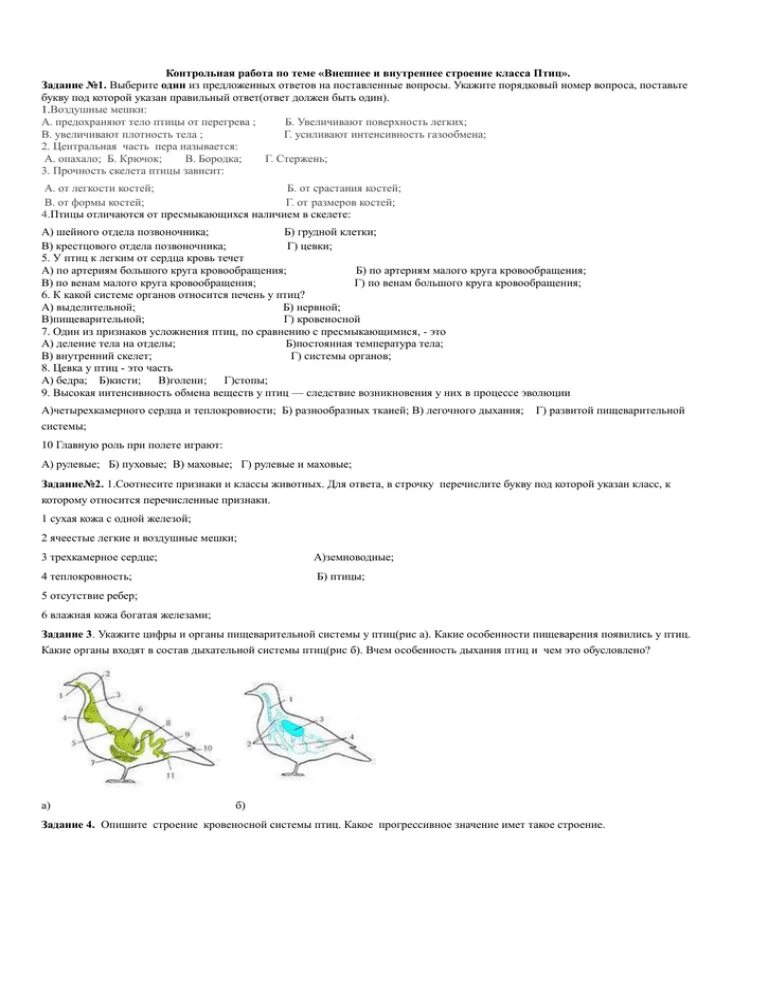 Контрольная по биологии номер 1. Контрольная по биологии 7 класс биология птицы. Контрольные задания по биологии 7 класс. Контрольная работа по теме птицы 7 класс биология. Контрольная работа по теме: « класс птиц»..