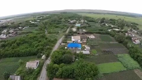 Урожайное алтайский край