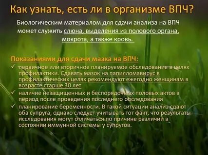 Впч от мужчины к женщине