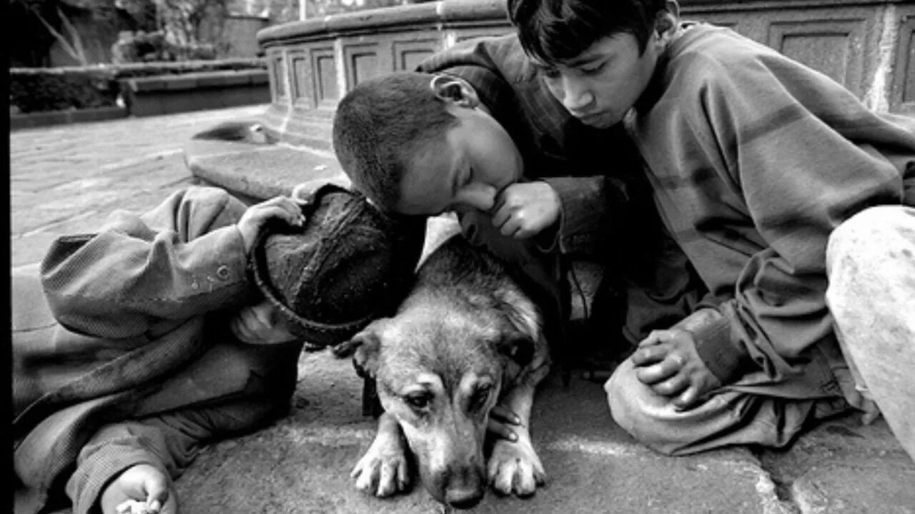 Пр зреть бездомного. Бездомный Конгурджа 1972. Безнадзорность и беспризорность. Беспризорные несовершеннолетние. Бродяжничество.