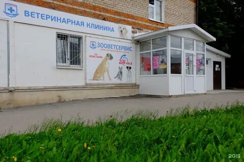 Ветклиника пермь