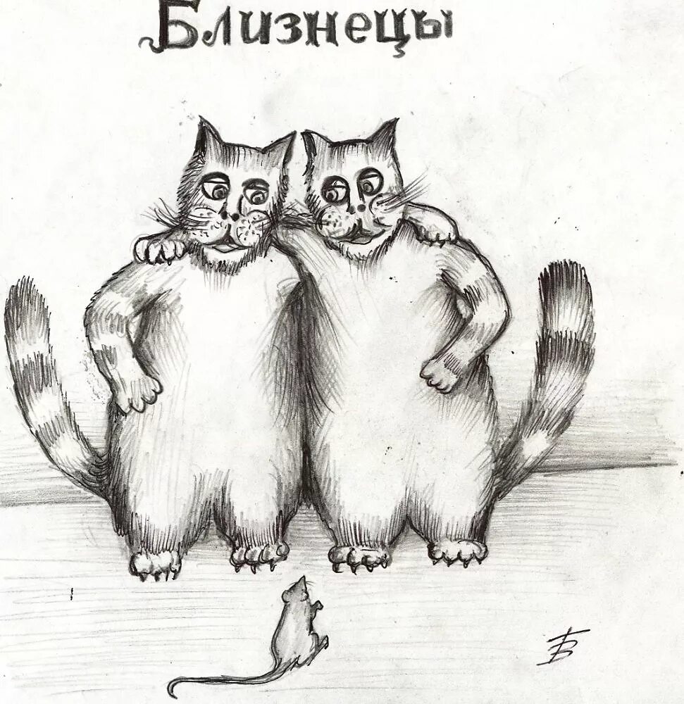 Близнецы кот гороскоп. Рисунок близнецов. смешные знаки зодиака близнецы.