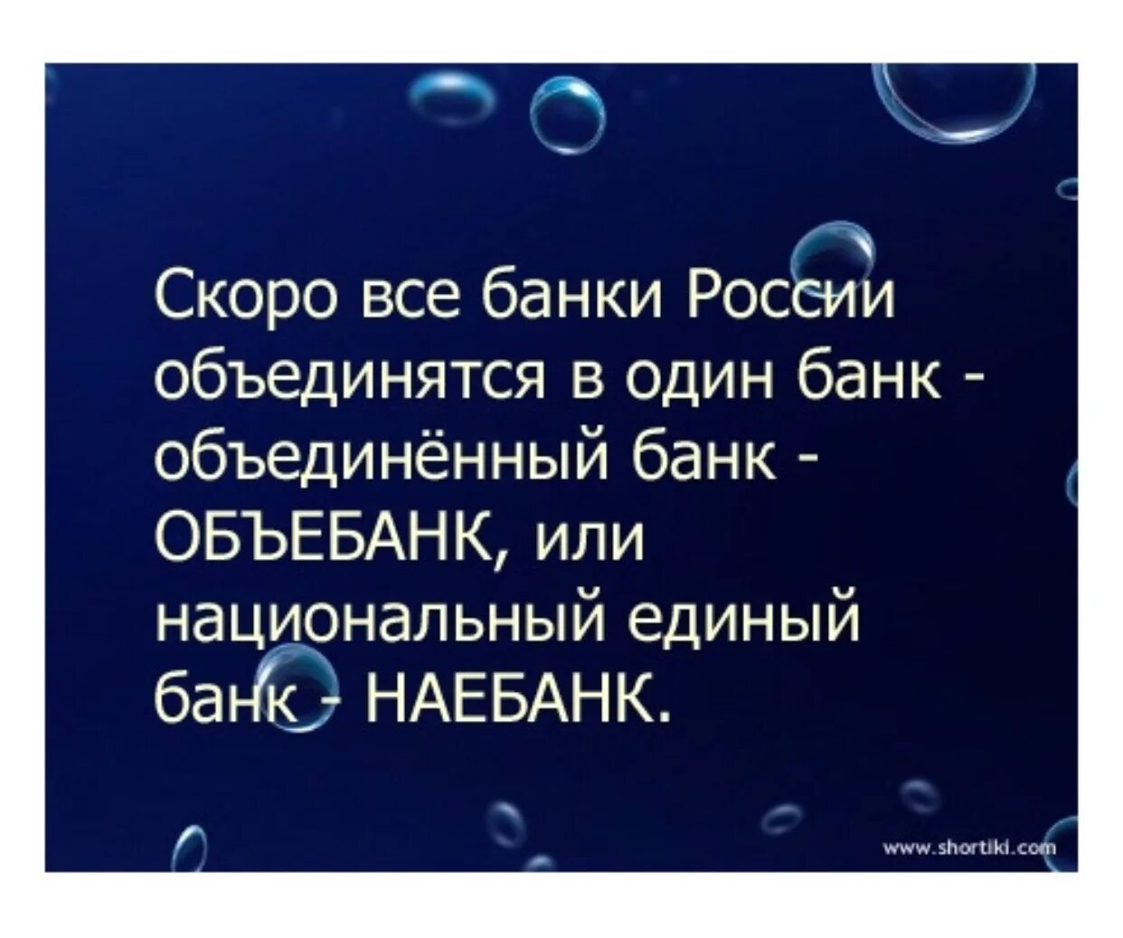 Поговорки про дураков. Поговорка про дурака и умного. Пословицы про дурака и умного. Высказывания о дураках.