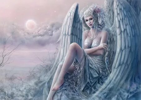 Angel windell