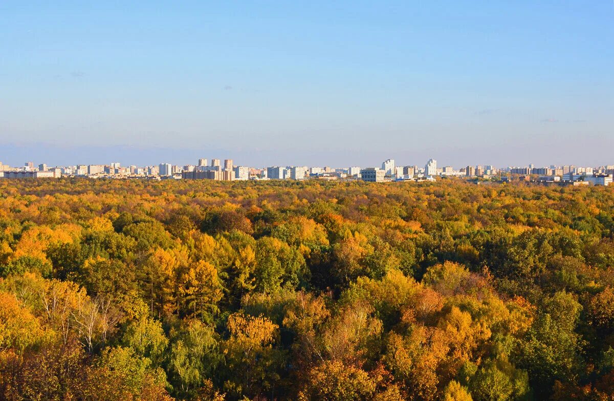 Марьино юго восток. Жк баланс главстрой. Новокосино москва. (свао) останкинский район. Парк яуза ростокино.