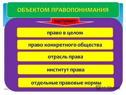 Дисциплины право темы