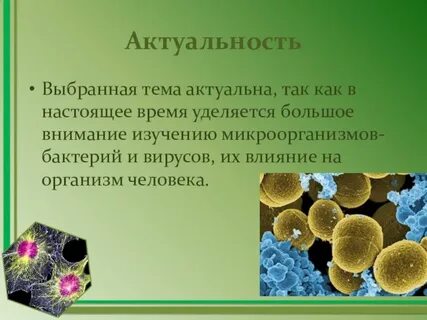 Бактерии просто устроенные микроскопические