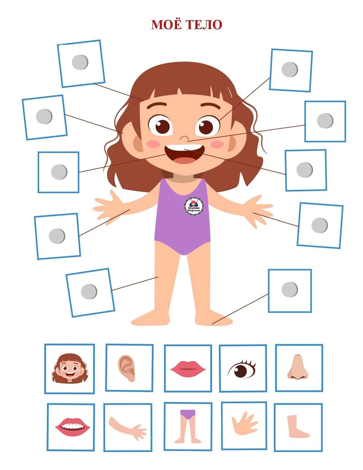 Развивающая игра человек. Органы человека для детей. Robot face race игра. Тактильные игрушки. Части тела для детей.