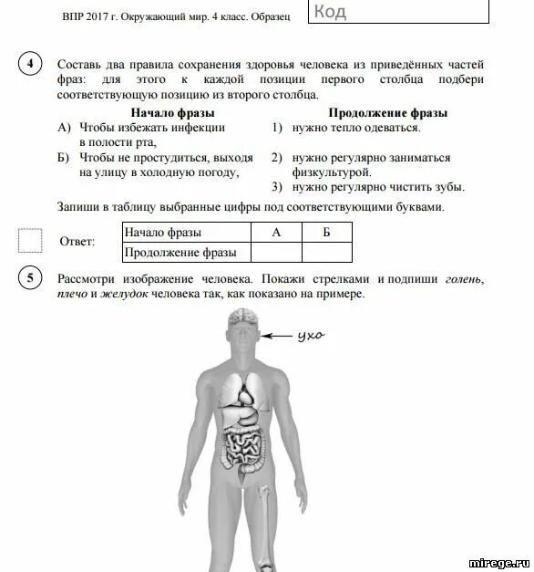 Впр по музыке 1 класс. Системы человека 4 класс окружающий мир ВПР. ВПР окружающий мир 4 класс про человека ответами. ВПР 4 класс окружающий мир 1 2 задания. Подготовка к ВПР по окружающему 4 класс.