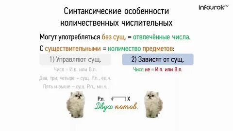 Синтаксическая роль числительных в предложении 6 класс