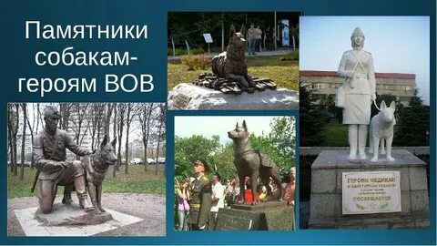 Животные герои великой отечественной