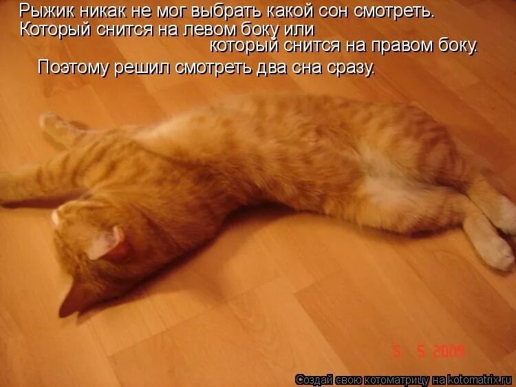 Сон кота. Котику.приснился сон. Кот видит сон. Спящий кот Васька.