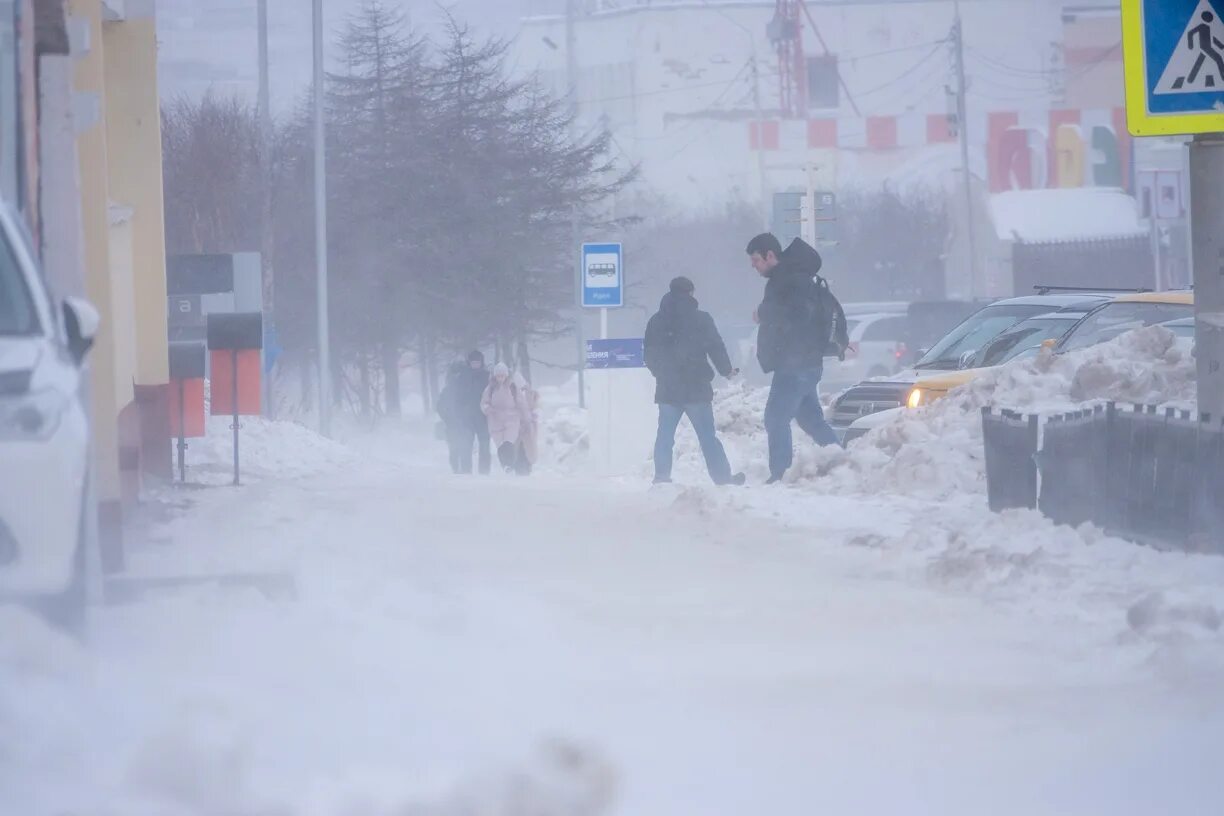 Сильный снег. Снегопад в апреле. Сильный снегопад. Метель в апреле.