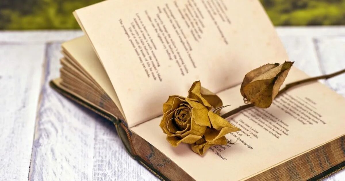 Проза картинка. В мире поэзии. Поэтический вечер фон. Поэтические творения. Раскрытые книги поэзия Вдохновение.