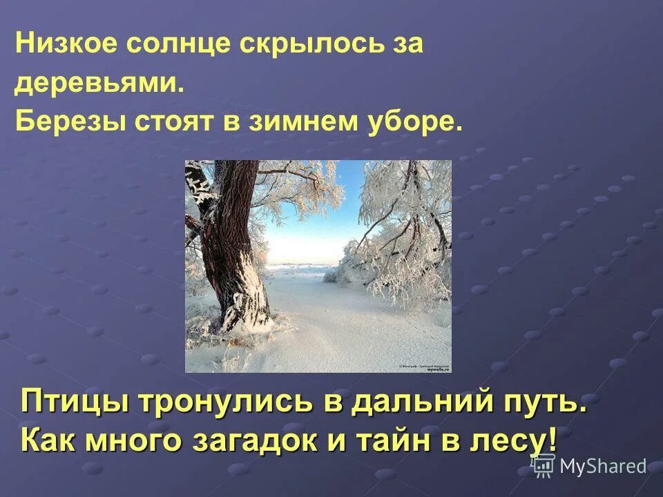 Внешнее строение дерева. Абстрактное синтаксическое дерево. Предложения про деревья. Составь дерево. Синтаксическое дерево лингвистика.