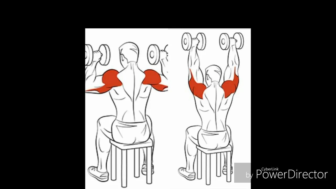 Жим гантелей вверх сидя (дельты). Жим гантелей вверх стоя мышцы. Жим гантелей сидя мышцы. Жим гантелей сидя на передние дельтовидные мышцы.