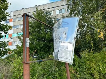 Подслушано колтуши