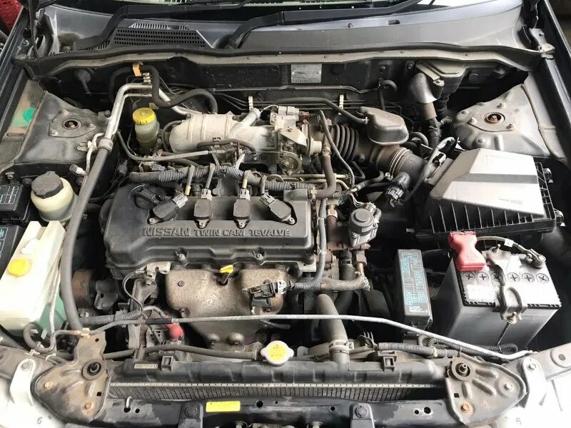 Bluebird sylphy qr20dd. Nissan bluebird sylphy qg18de. nissan bluebird sylphy двигатель. qg10 nissan sylphy двигатель. ниссан блюберд силфи qg18de.