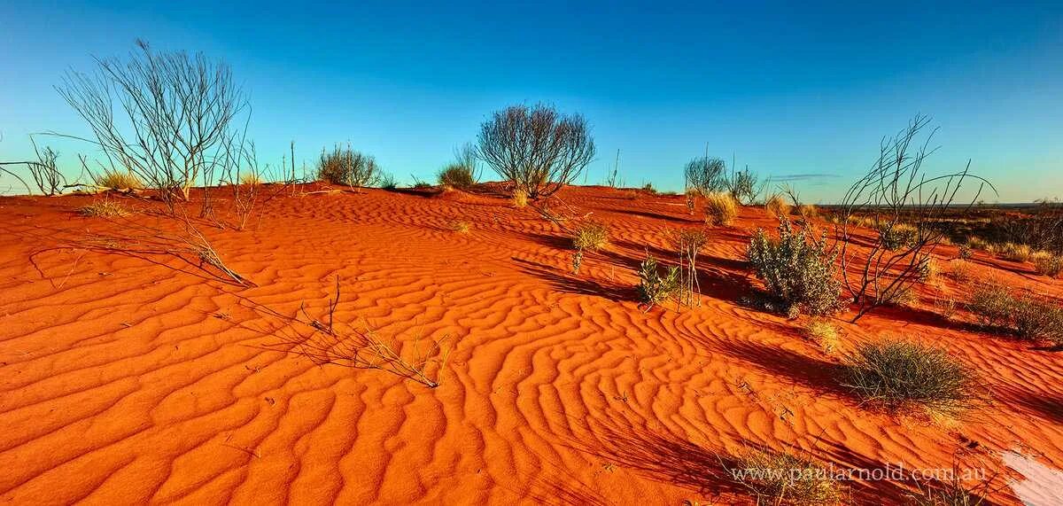 Самый сухой климат в мире. Пустыни и полупустыни Австралии. Great Victoria Desert Австралия.