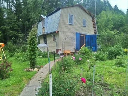 Сколько км от снт