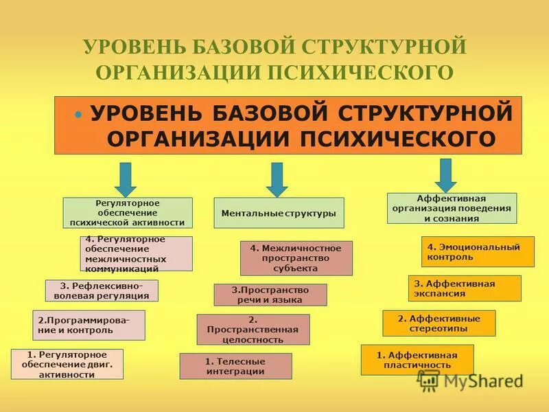 Уровни организации психического