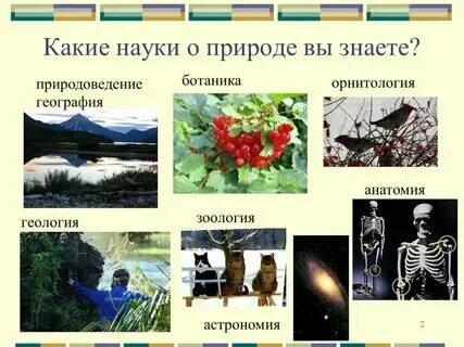 Какой предмет изучает природу