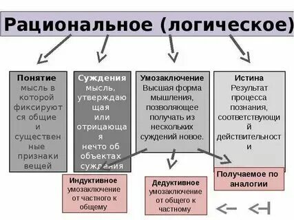 Практическая работа "Как мы познаём окружающий мир"