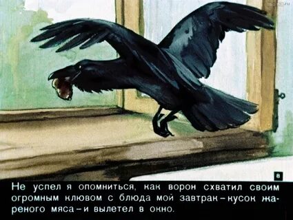 Я боюсь долгоносой вороны