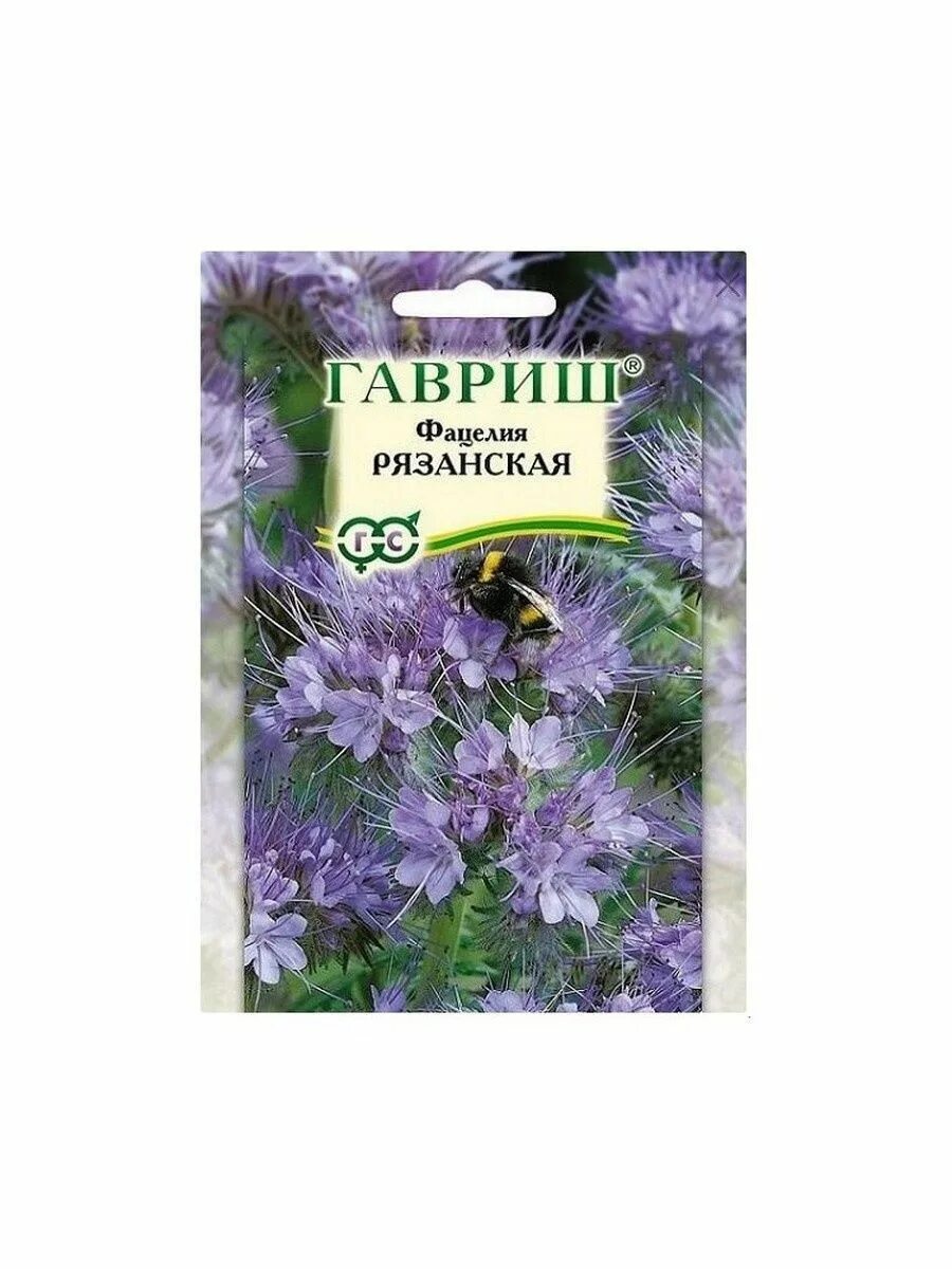 Фацелия норма. Фацелия рязанская, 20г. фацелия пижмолистная семена. семена фацелия рязанская. фацелия медонос семена.
