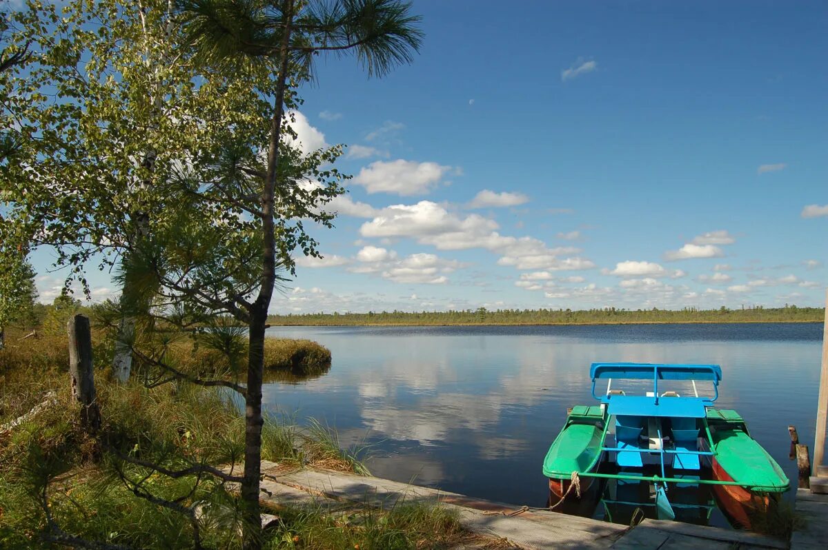 Озеро светлое Тюмень. Тобольск озеро. Светлое озеро Тобольск база отдыха. Турбаза озеро светлое. Рыболовная база озеро