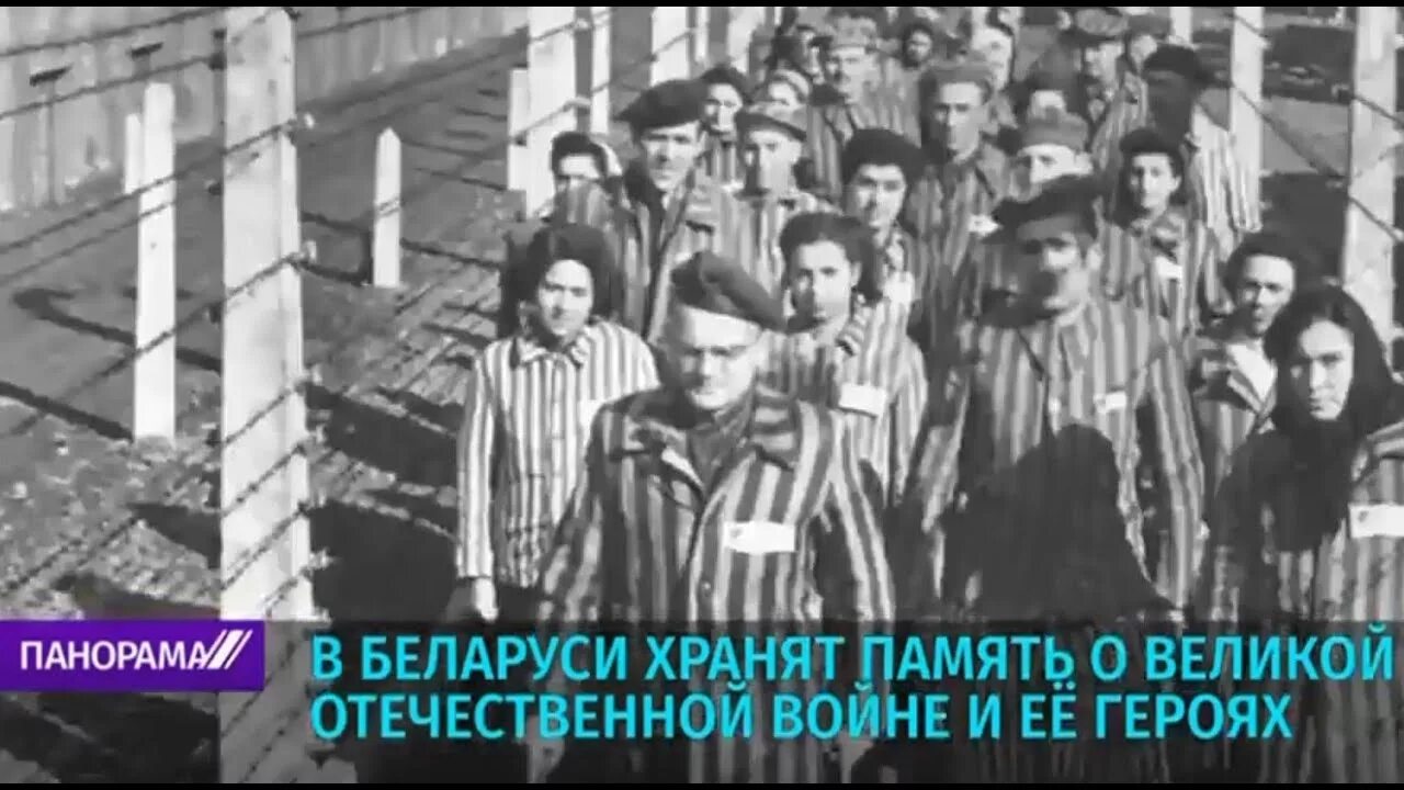 Жертвы холокоста в беларуси