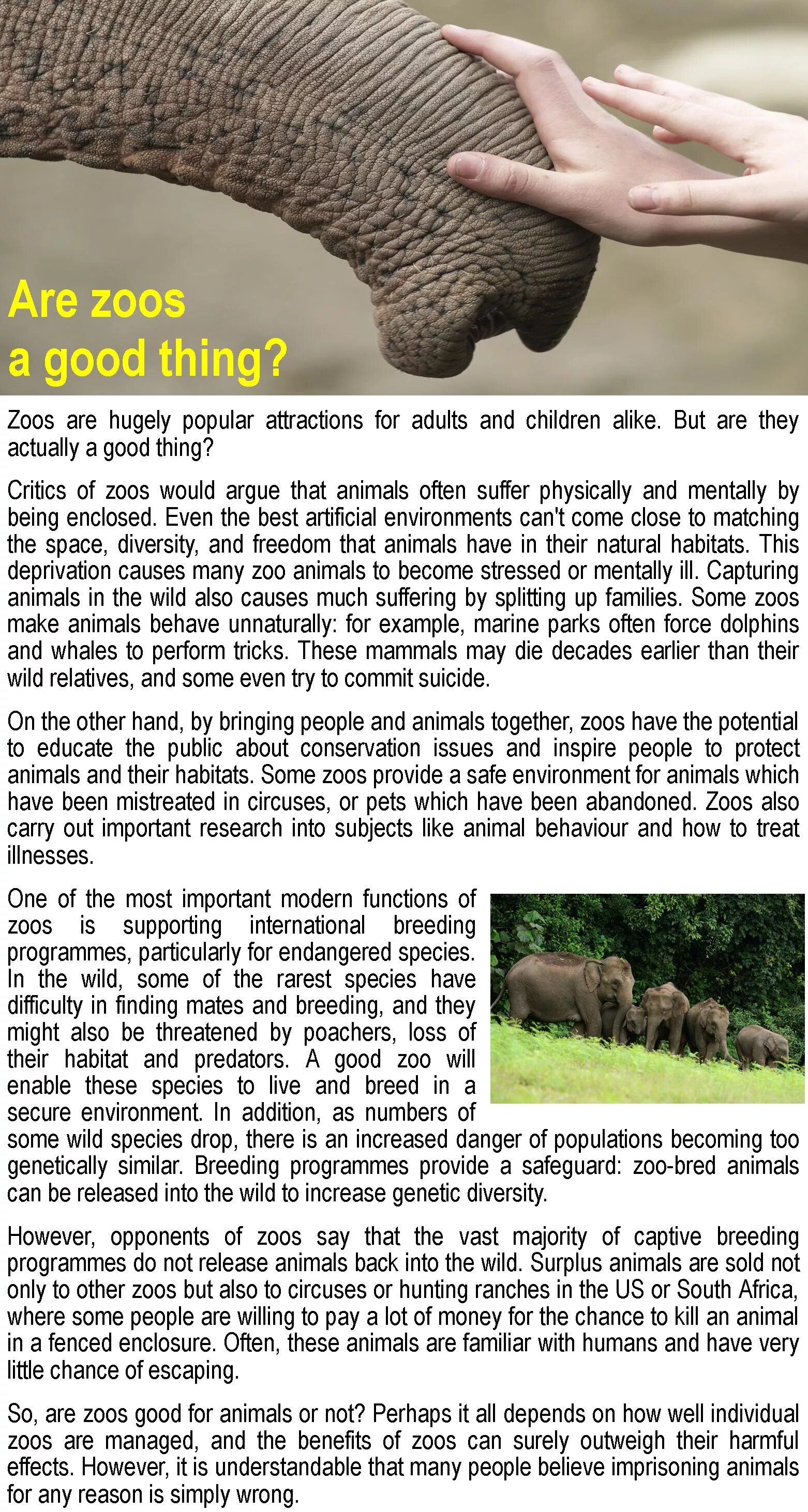 Most people that natural. Zoos are good. Benefits of Zoos. The Educational benefits of Zoos. Keeping animals in Zoos.