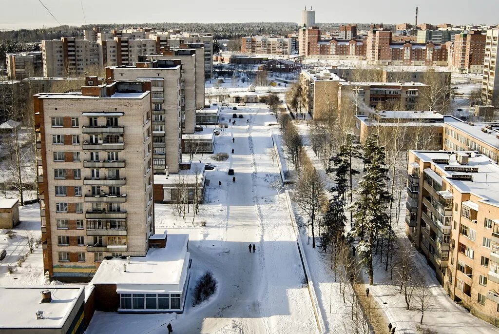 Площадь в сосновом бору