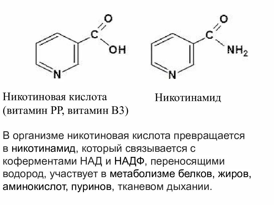 Что такое никотинамид. Витамин pp никотиновая кислота. никотиновая кислота и никотинамид. синтез никотиновой кислоты. производные никотиновой кислоты.