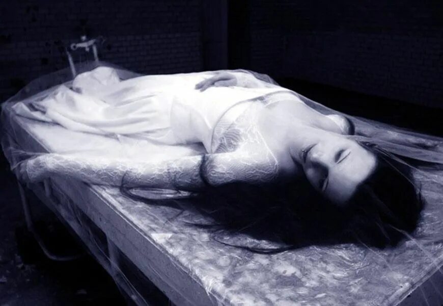 Гроб живой. Гроб. Гроб живой. Биоразлагаемые гробы. Украшение гроба цветами.