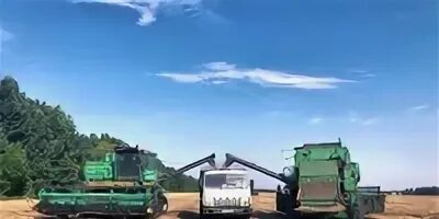 Город зерно зерноград