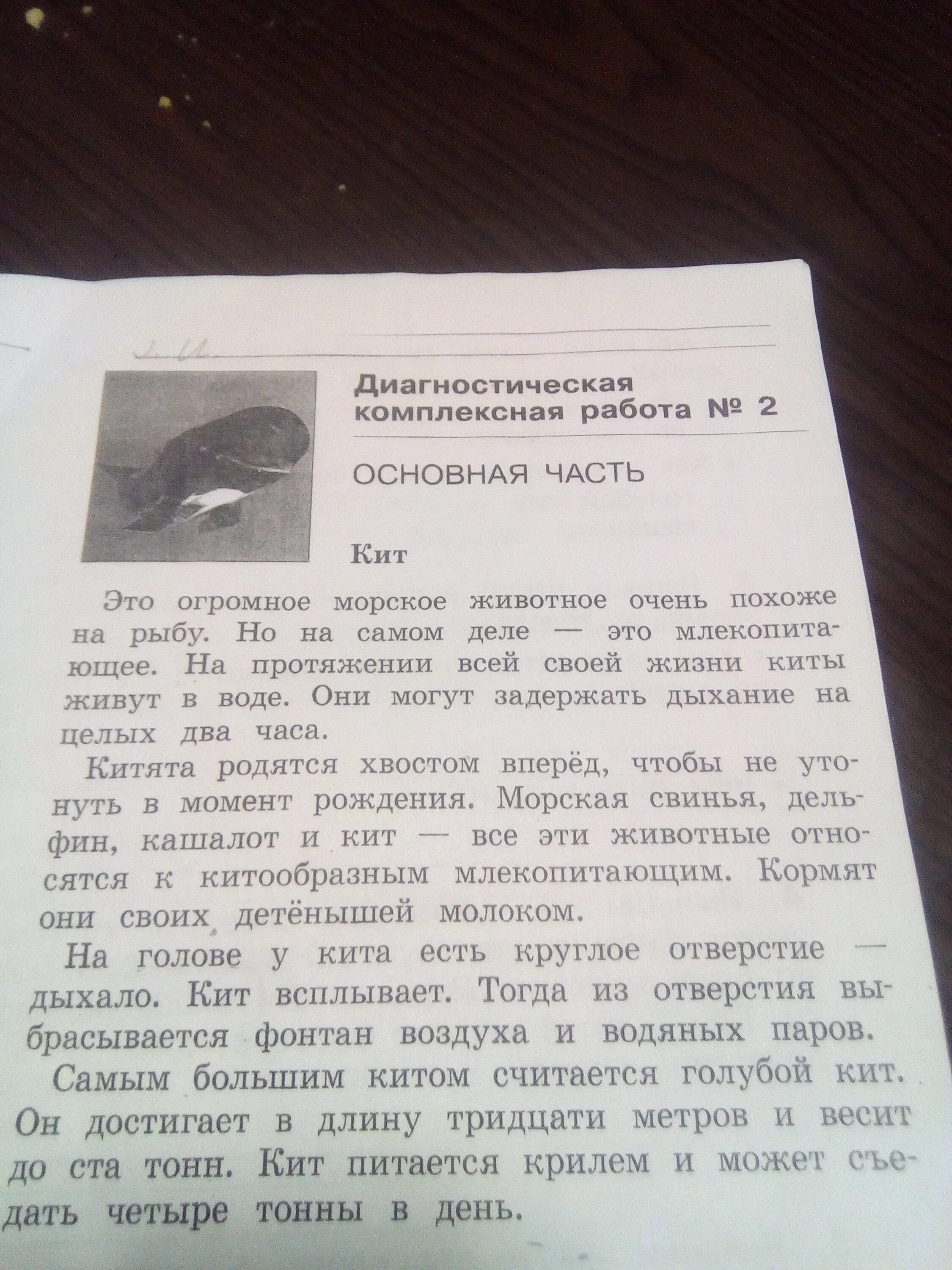 Выпишите из текста два. Ответы на комплексную работу. выпиши из текста 2. диагностические комплексные работы 1 класс. комплексная диагностическая работа 2 класс.